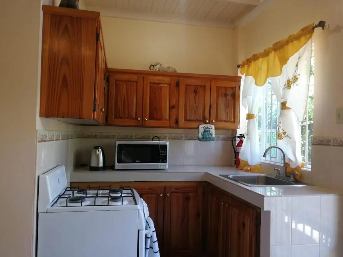 Great River Private Retreat 蒙特哥贝 牙买加