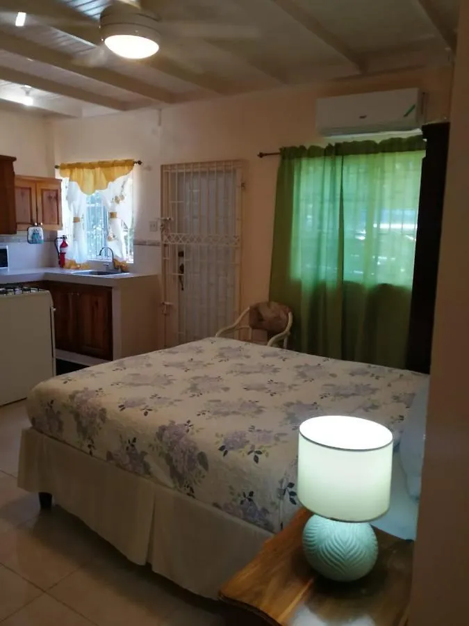 Great River Private Retreat 蒙特哥贝 0*,  牙买加